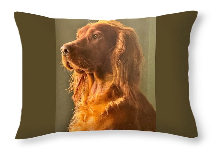 Aine the Regal Irish Setter - Throw Pillow