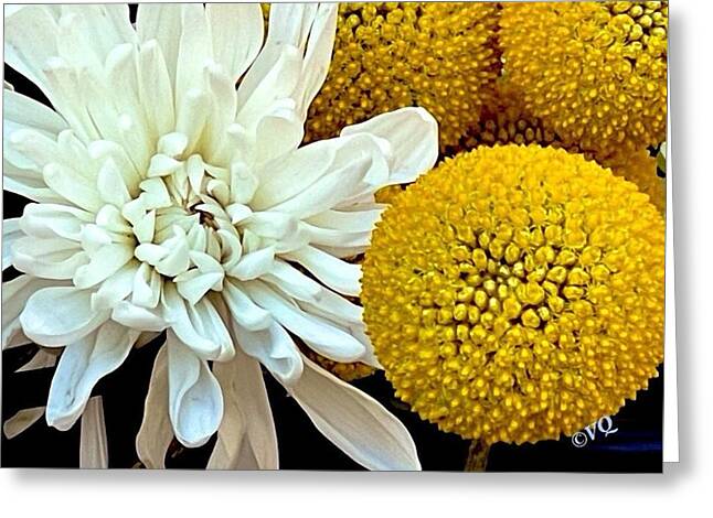 Chrysanthemum and Yellow Spheres - Greeting Card
