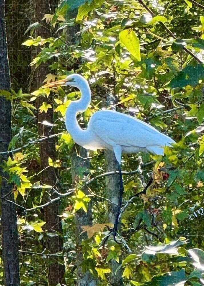 Egret Posing Among Lush Foliage - Puzzle