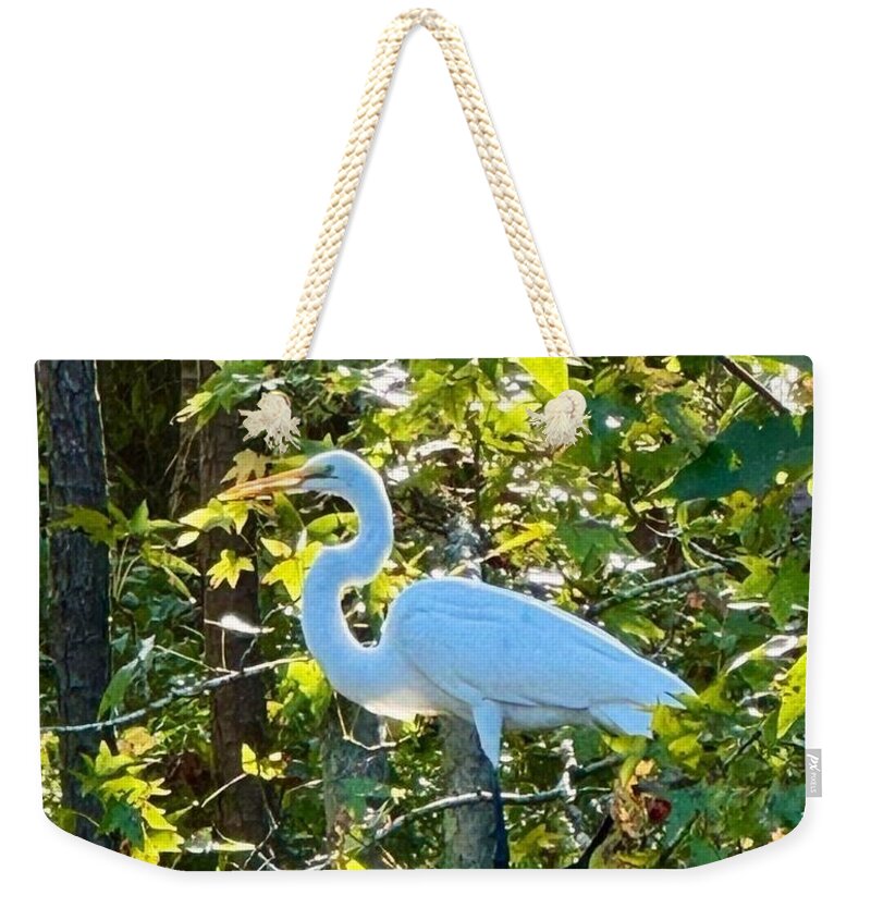 Egret Posing Among Lush Foliage - Weekender Tote Bag