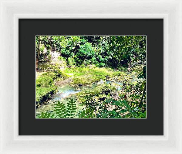 Lush Jungle Stream - Framed Print