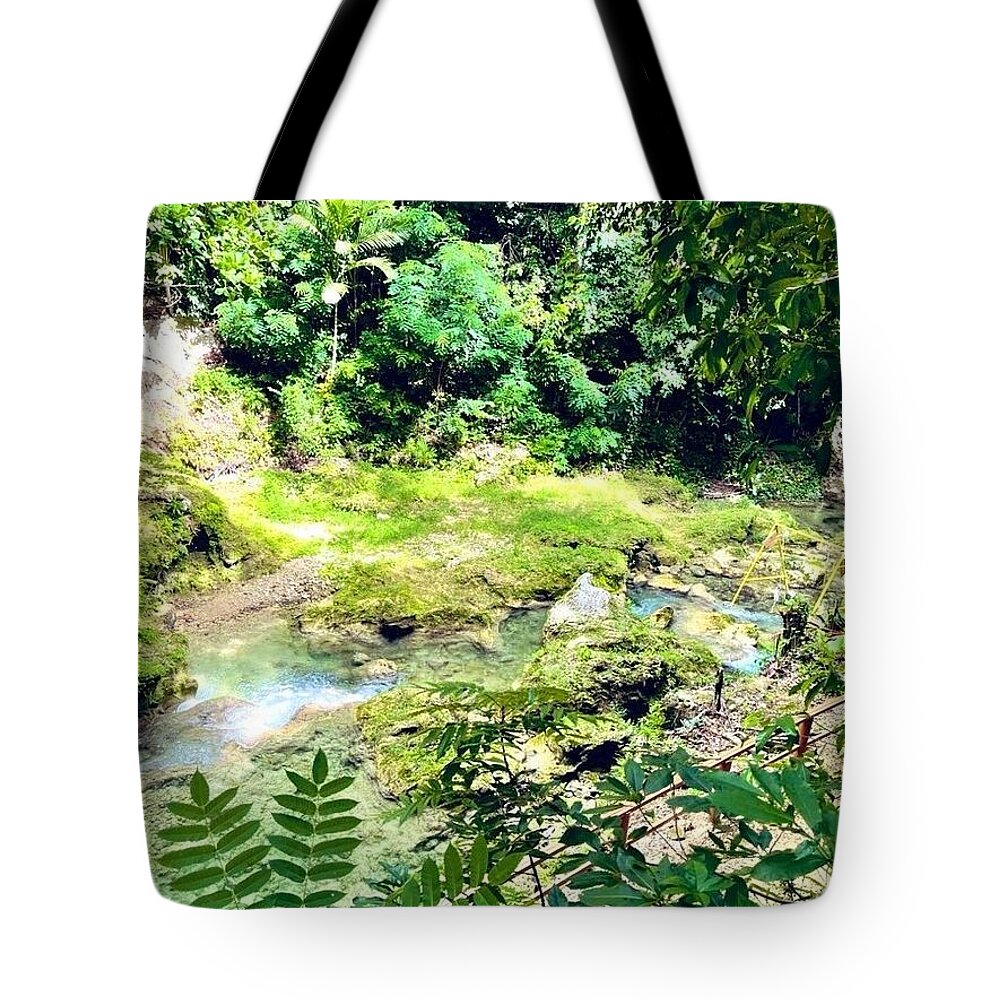 Lush Jungle Stream - Tote Bag