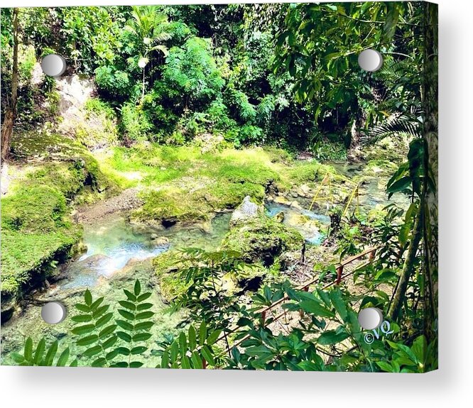 Lush Jungle Stream - Acrylic Print