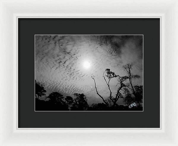 Moonlit Night with Silhouetted Trees - Framed Print