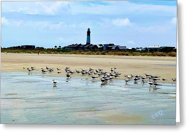Seagulls on a Sandy Shoreline - Greeting Card