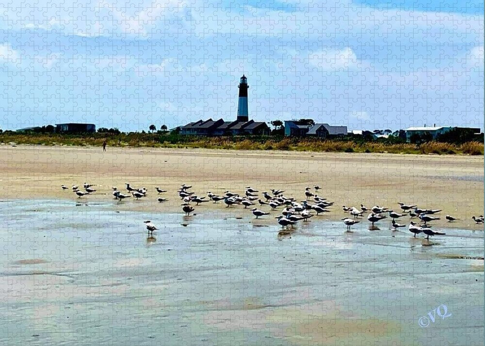 Seagulls on a Sandy Shoreline - Puzzle