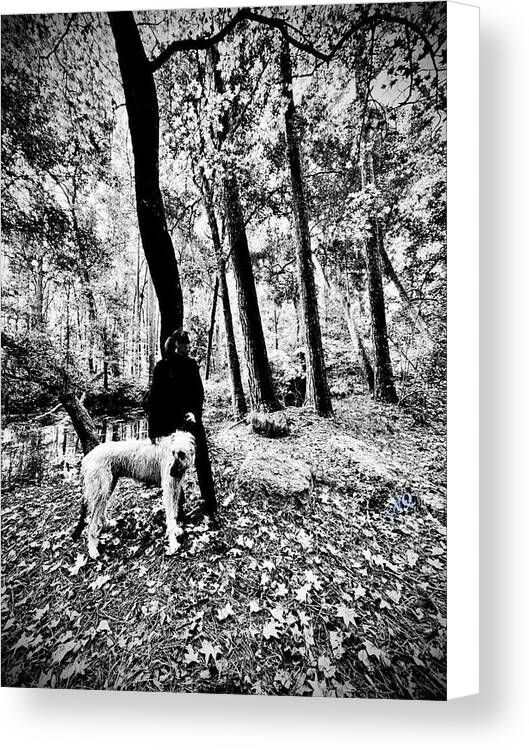 Solitude in the Autumn Woods - Canvas Print