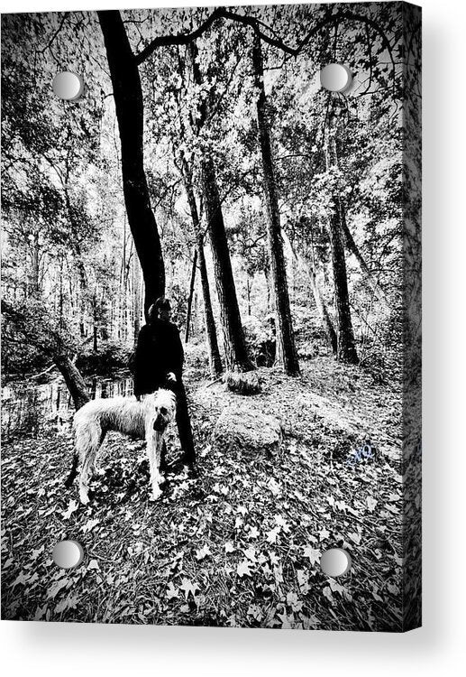 Solitude in the Autumn Woods - Acrylic Print