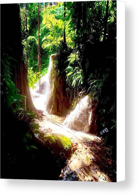 Sunlit Jungle Waterfall - Canvas Print