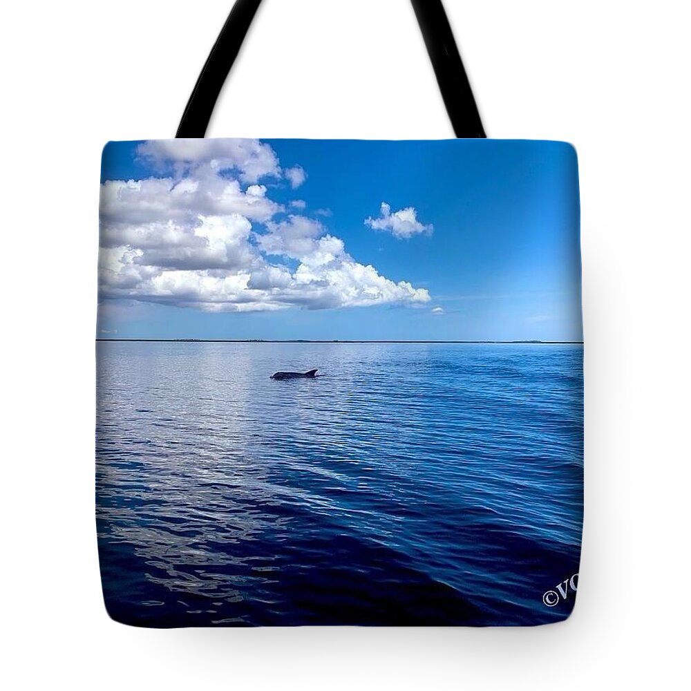 Tranquil Waters with Dolphin - Tote Bag