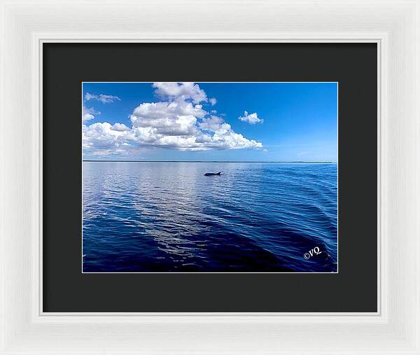 Tranquil Waters with Dolphin - Framed Print