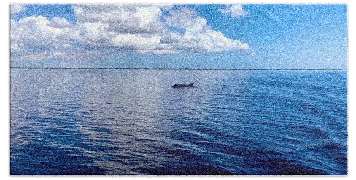 Tranquil Waters with Dolphin - Beach Towel