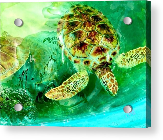 Turtles in Vibrant Waters - Acrylic Print