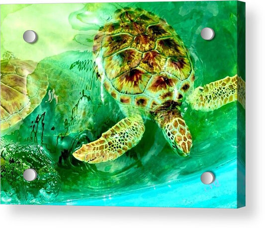 Turtles in Vibrant Waters - Acrylic Print