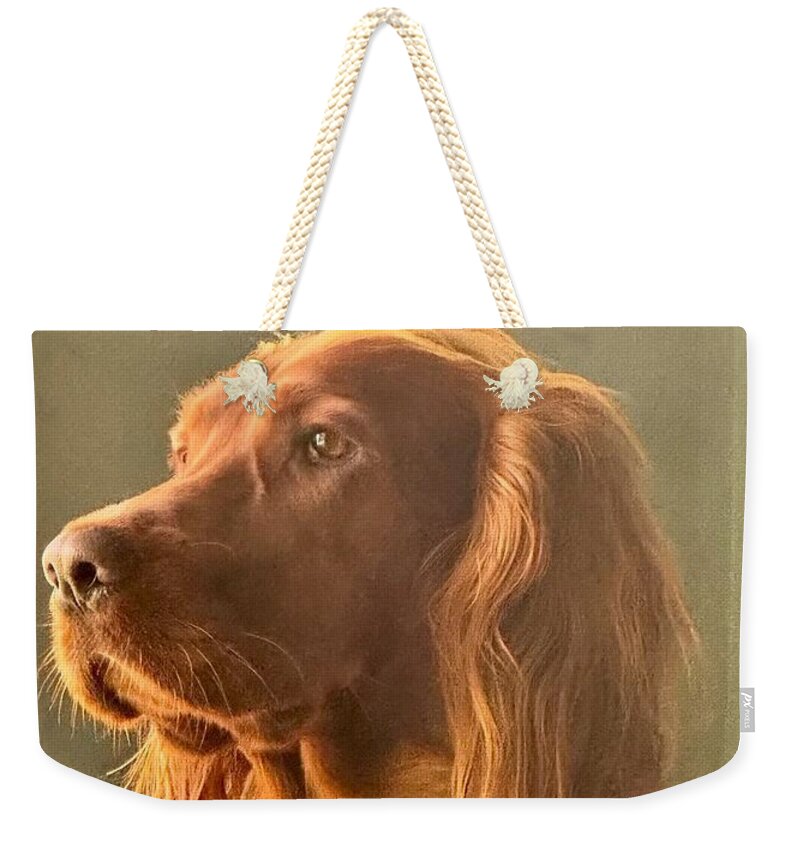 Aine the Regal Irish Setter - Weekender Tote Bag