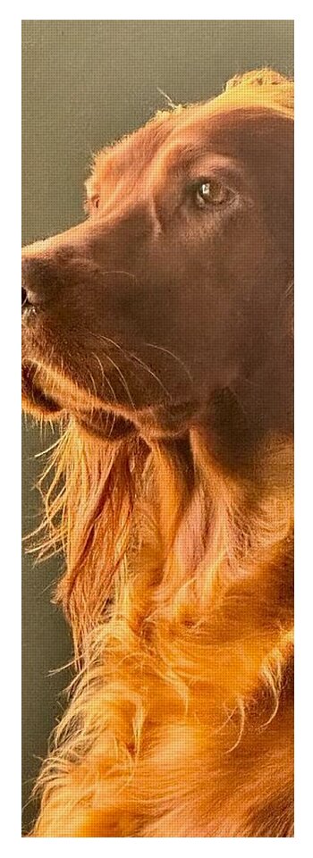 Aine the Regal Irish Setter - Yoga Mat