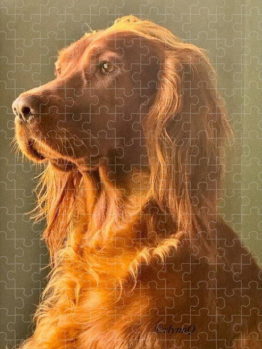 Aine the Regal Irish Setter - Puzzle