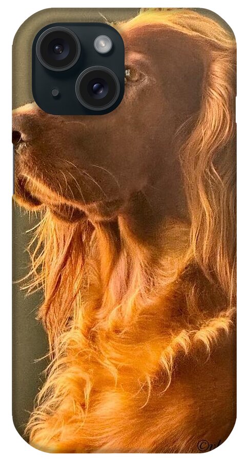 Aine the Regal Irish Setter - Phone Case