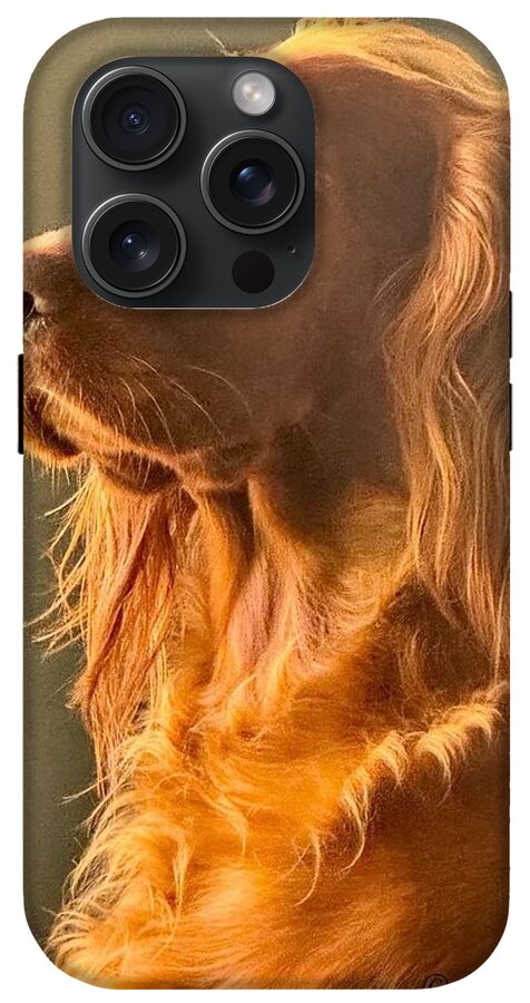 Aine the Regal Irish Setter - Phone Case