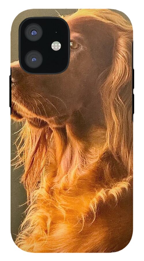 Aine the Regal Irish Setter - Phone Case