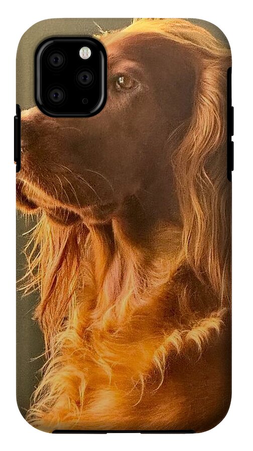 Aine the Regal Irish Setter - Phone Case