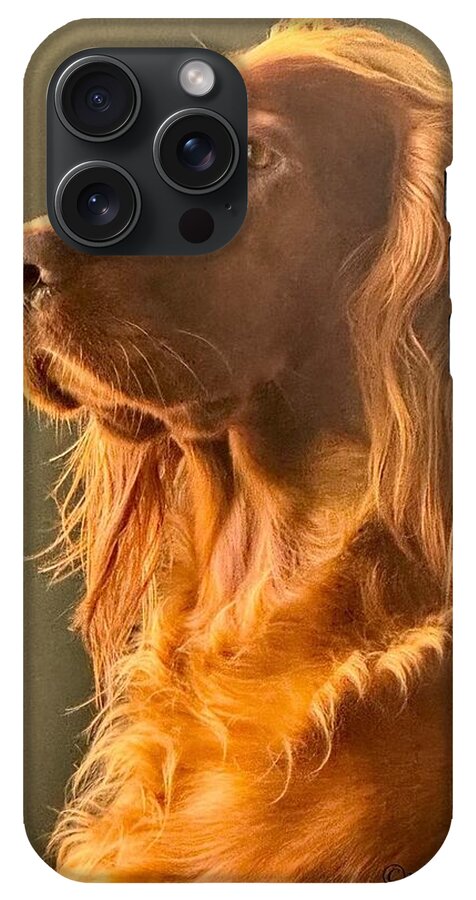 Aine the Regal Irish Setter - Phone Case