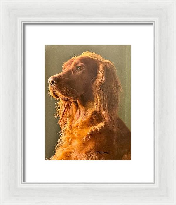 Aine the Regal Irish Setter - Framed Print