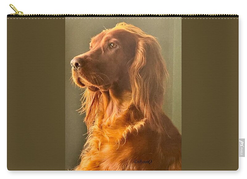 Aine the Regal Irish Setter - Zip Pouch