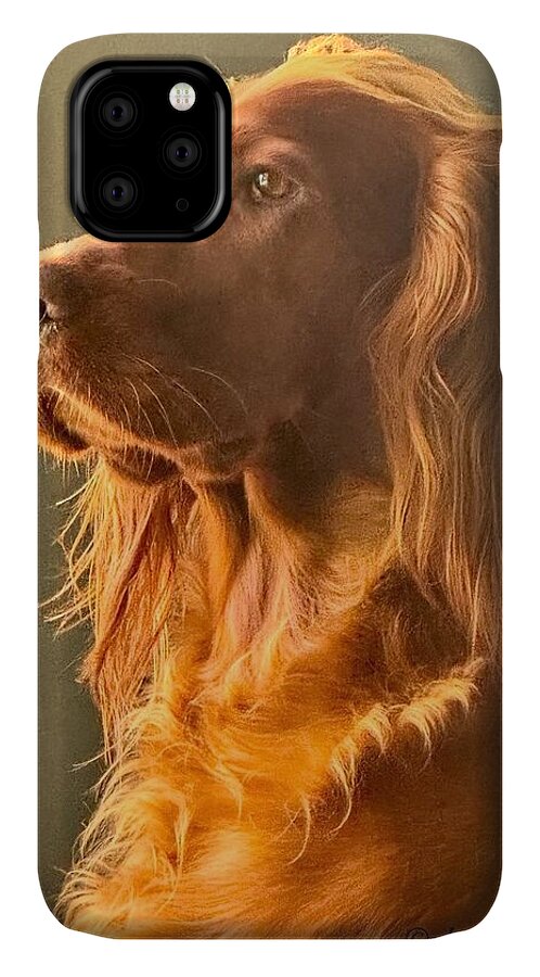 Aine the Regal Irish Setter - Phone Case