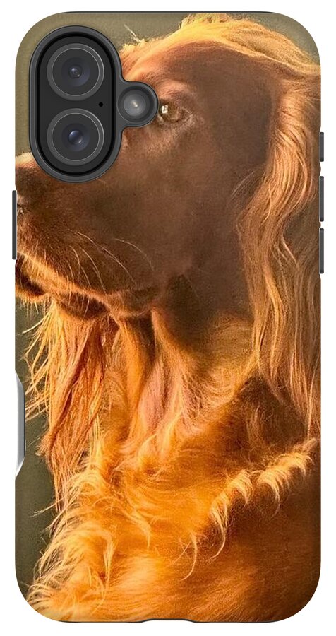 Aine the Regal Irish Setter - Phone Case
