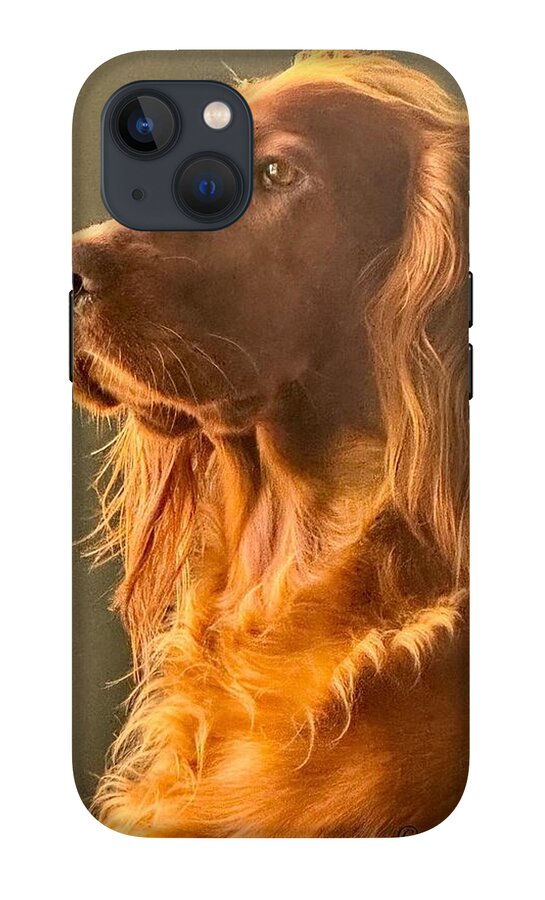 Aine the Regal Irish Setter - Phone Case
