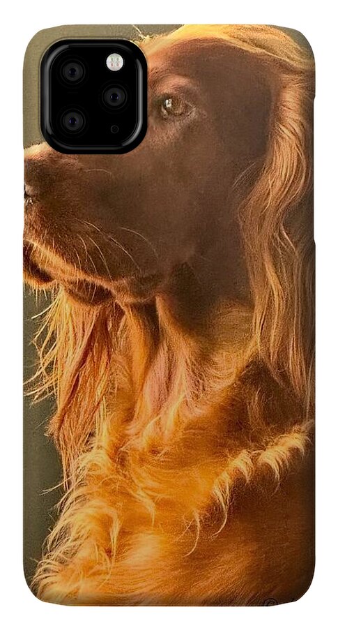 Aine the Regal Irish Setter - Phone Case