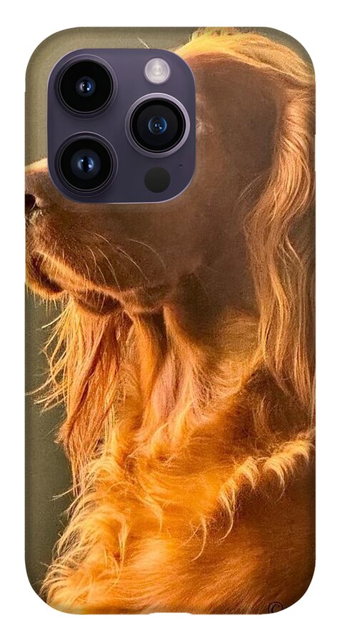 Aine the Regal Irish Setter - Phone Case
