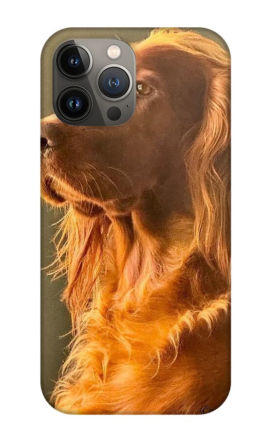 Aine the Regal Irish Setter - Phone Case