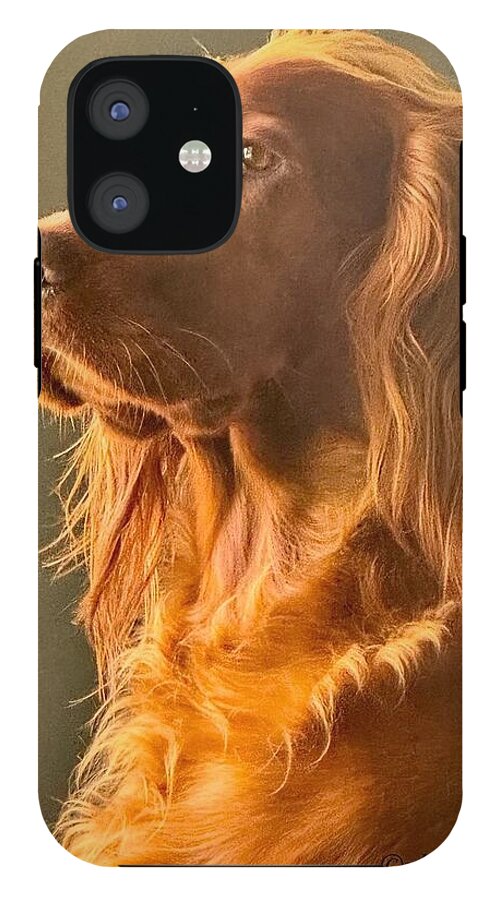 Aine the Regal Irish Setter - Phone Case