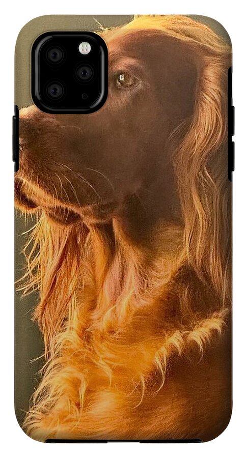 Aine the Regal Irish Setter - Phone Case