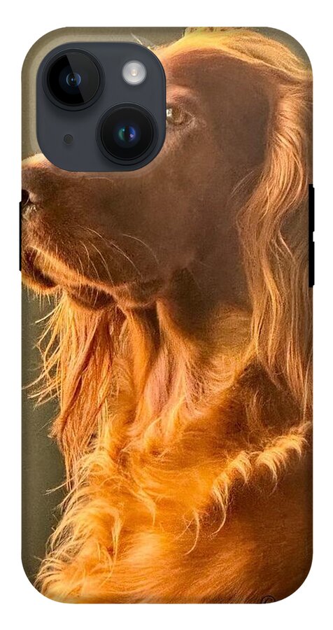 Aine the Regal Irish Setter - Phone Case
