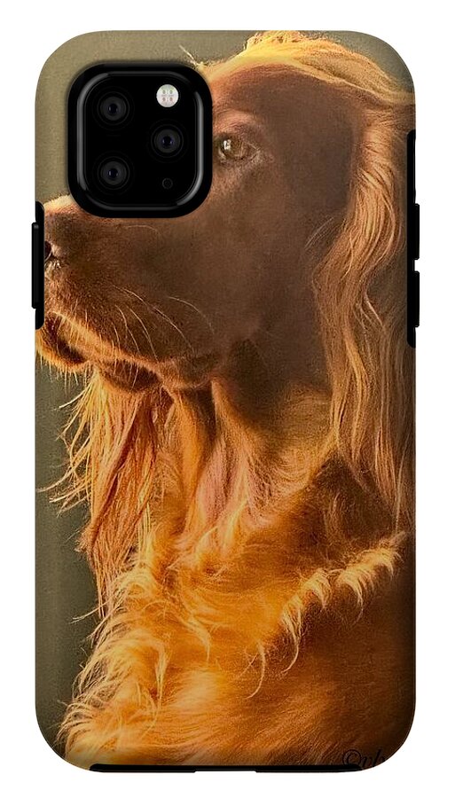 Aine the Regal Irish Setter - Phone Case