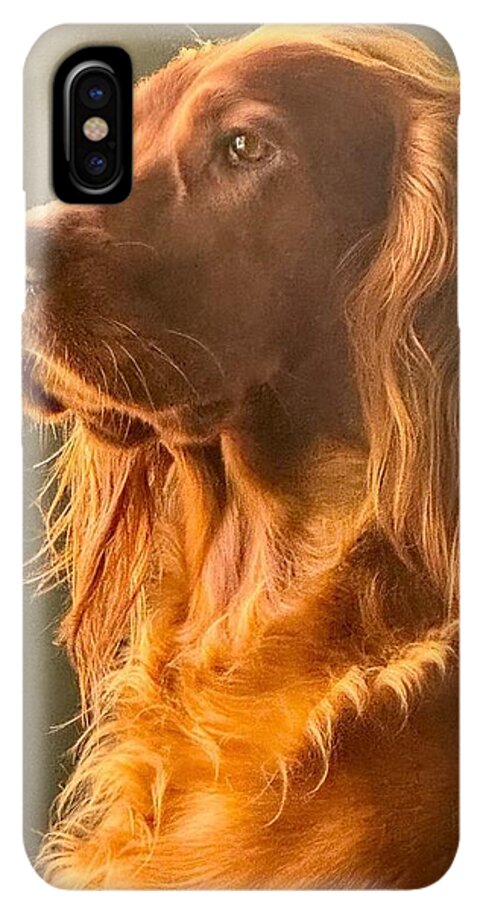 Aine the Regal Irish Setter - Phone Case