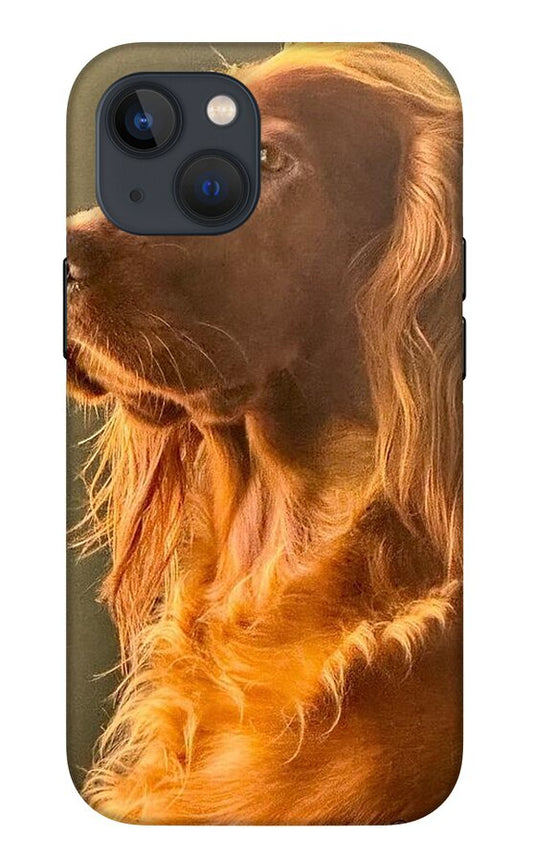 Aine the Regal Irish Setter - Phone Case