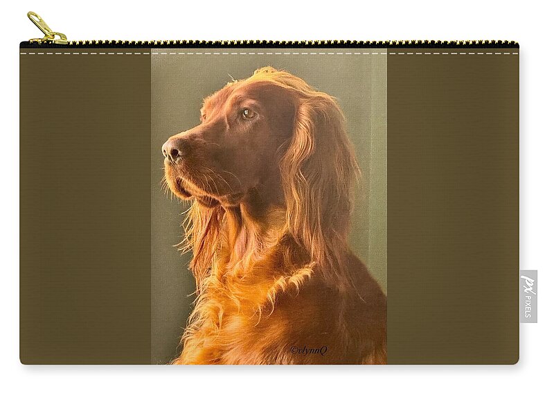 Aine the Regal Irish Setter - Zip Pouch