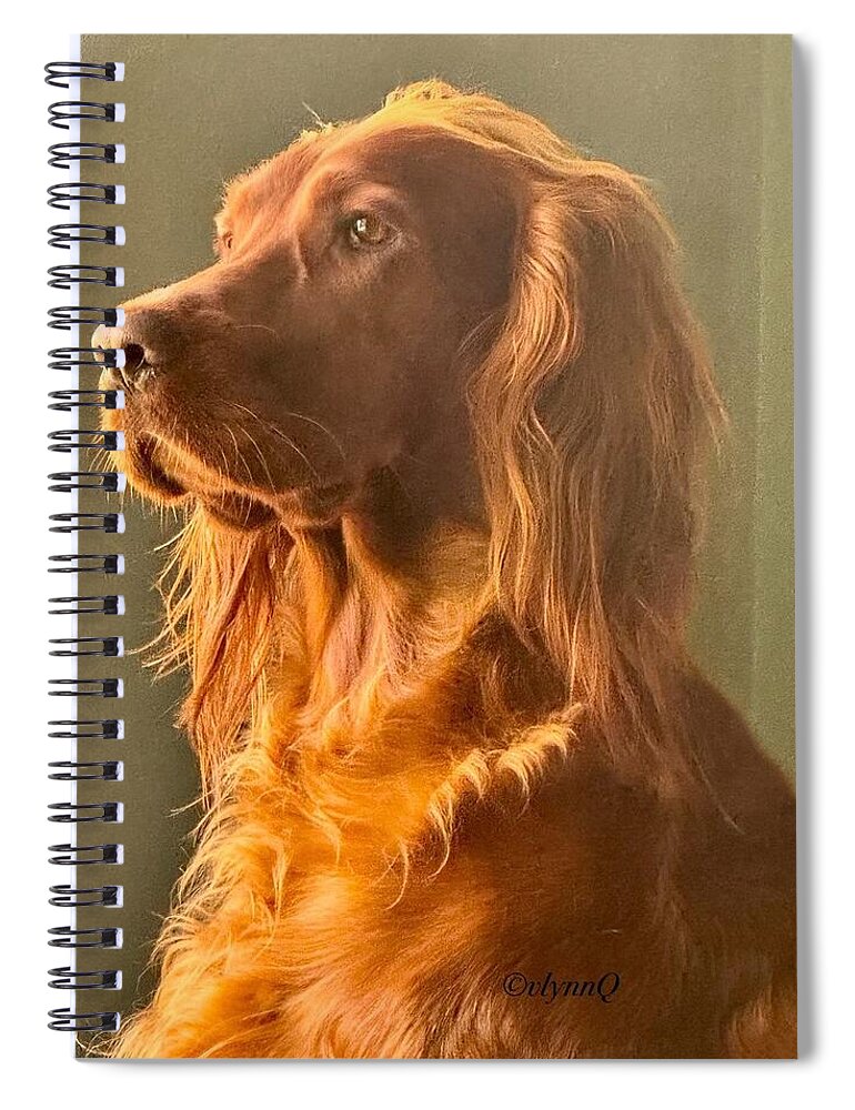 Aine the Regal Irish Setter - Spiral Notebook