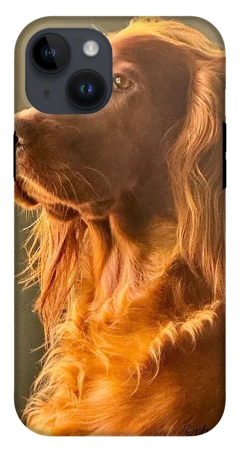 Aine the Regal Irish Setter - Phone Case
