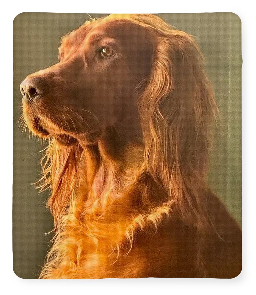 Aine the Regal Irish Setter - Blanket
