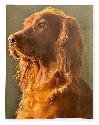 Aine the Regal Irish Setter - Blanket