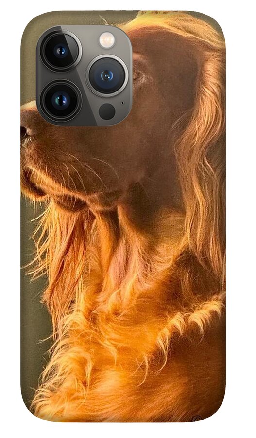 Aine the Regal Irish Setter - Phone Case