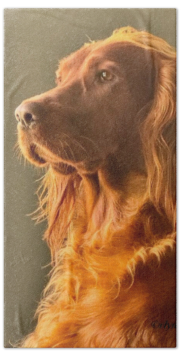 Aine the Regal Irish Setter - Beach Towel