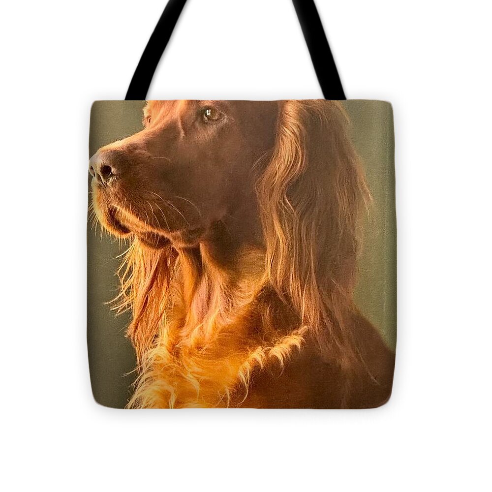 Aine the Regal Irish Setter - Tote Bag