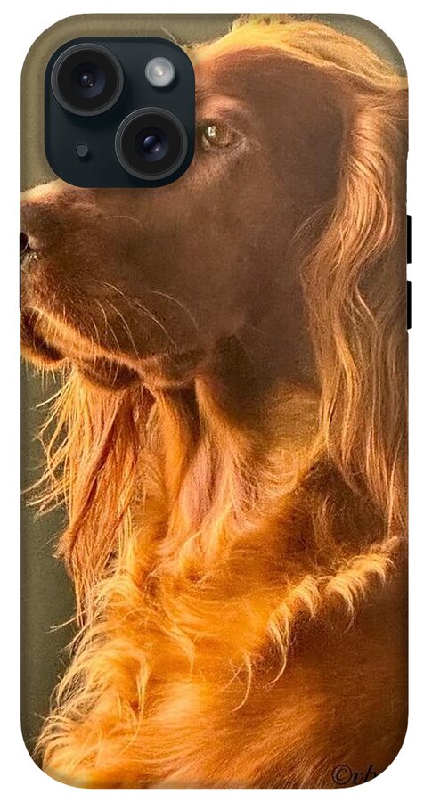 Aine the Regal Irish Setter - Phone Case