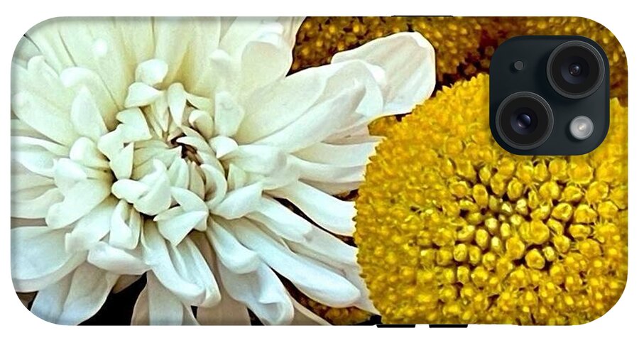Chrysanthemum and Yellow Spheres - Phone Case
